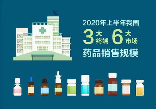 7839亿 2020上半年三大终端六大市场药品销售全景解析